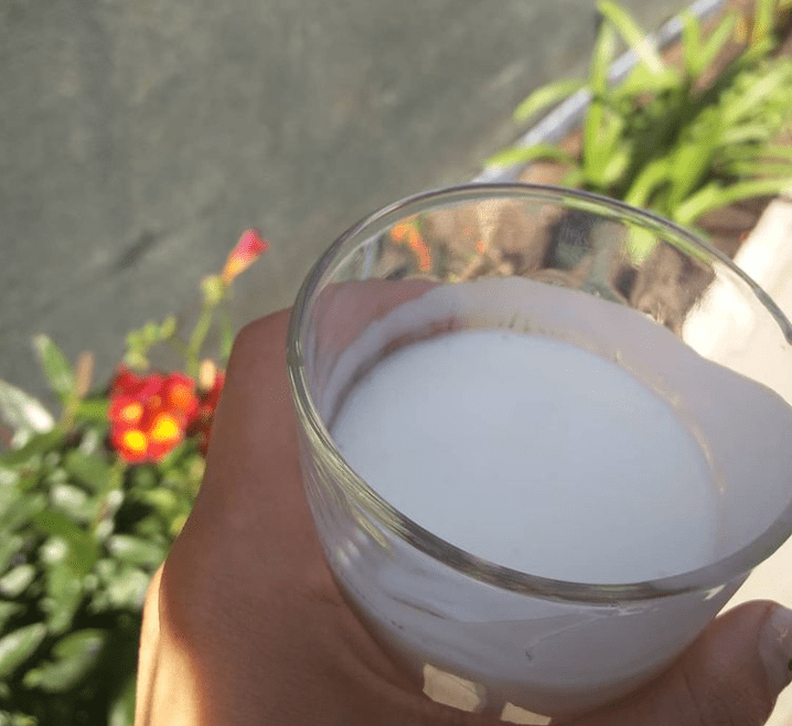 Kefir che?