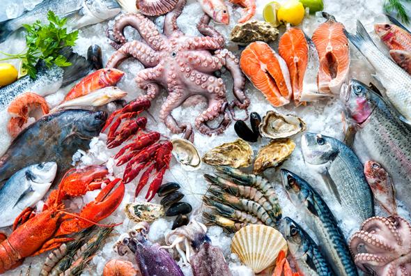 Anche il pesce segue una sua stagione: come fare una lista della spesa consapevole!